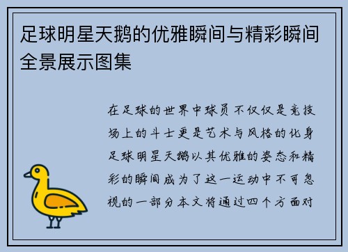 足球明星天鹅的优雅瞬间与精彩瞬间全景展示图集
