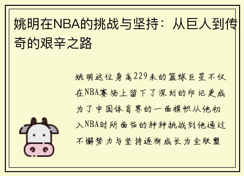 姚明在NBA的挑战与坚持：从巨人到传奇的艰辛之路